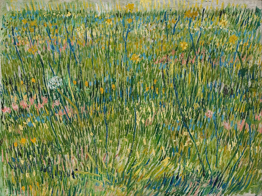  218-Vincent van Gogh-Prato d'erba - Kröller-Müller Museum, Otterlo 